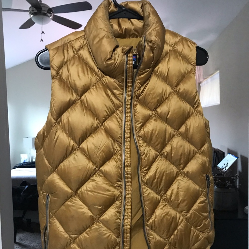 Patagonia Down Vest